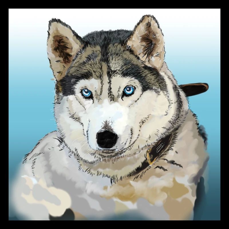 Husky