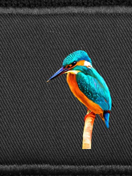 Kingfisher
