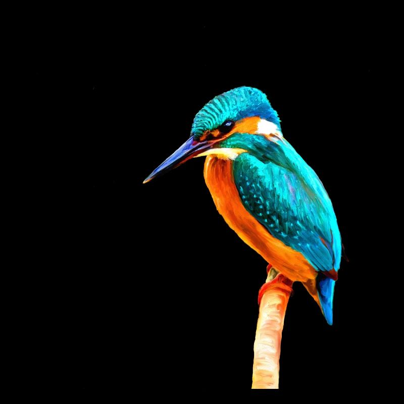 Kingfisher