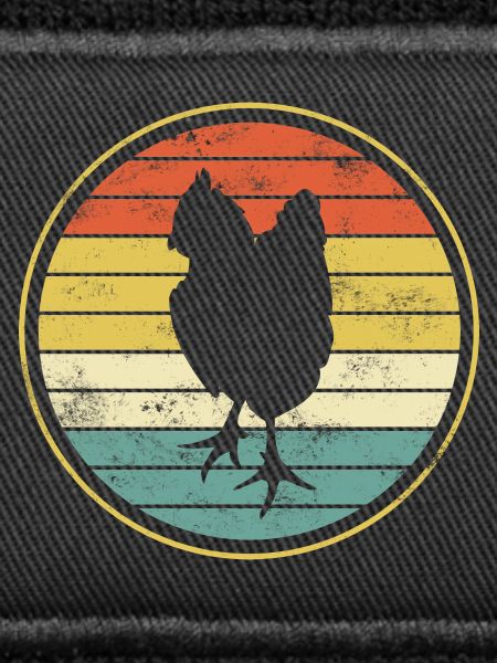 Chicken chickens