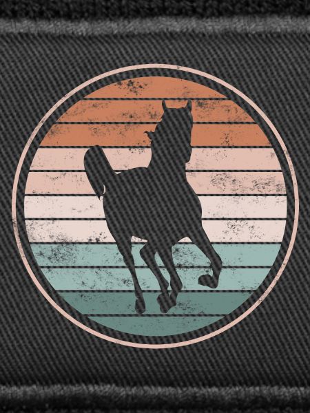 Cheval chevaux