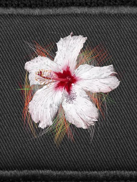Blume