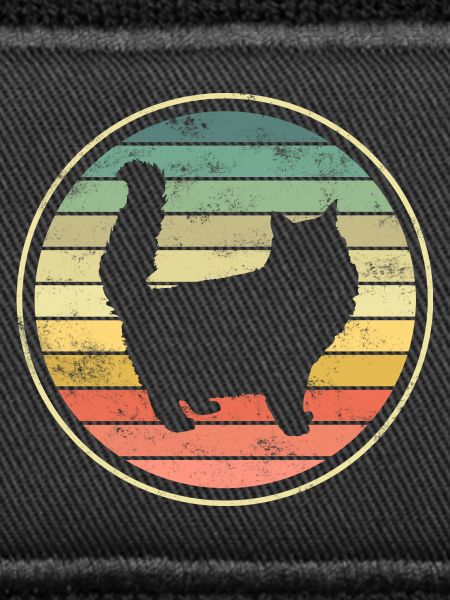 Cat Cats