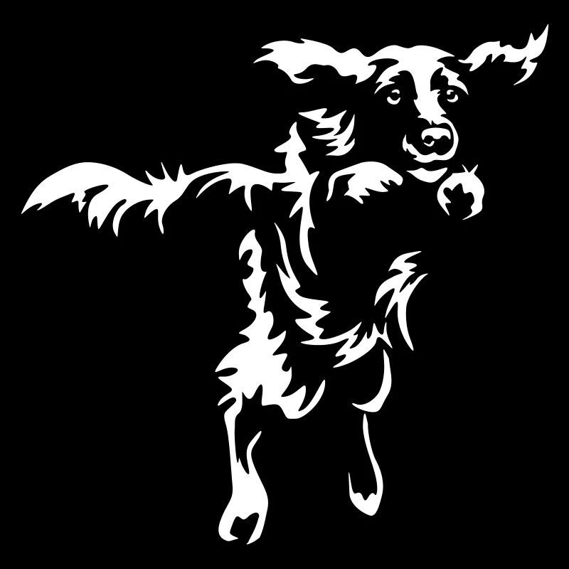 Münsterländer "Black Edition"