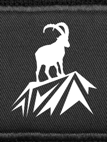Steinbock Wandern Berge