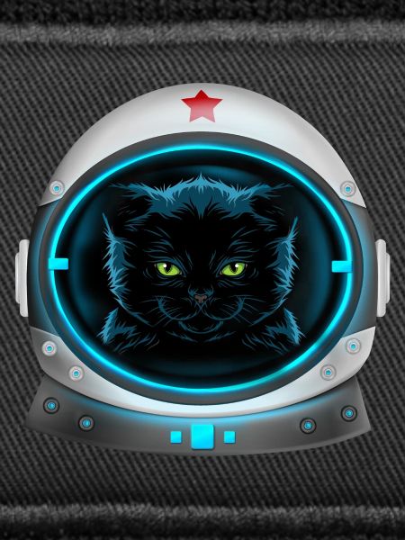 angry space cat astronaut