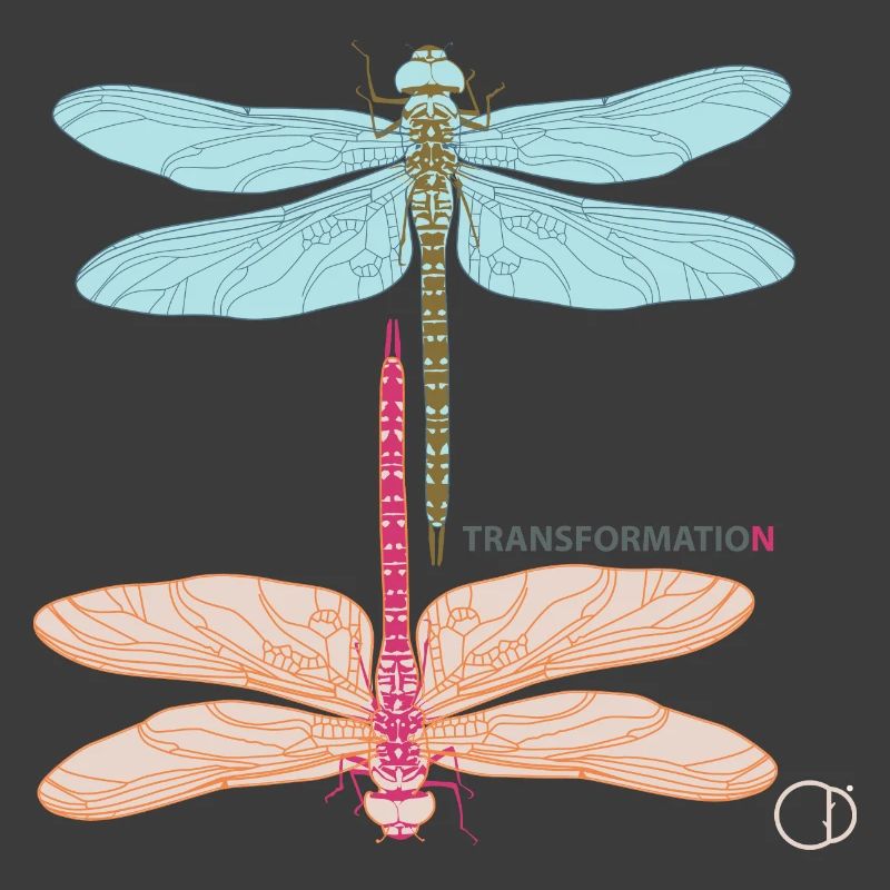 Libellen und Transformation by CD