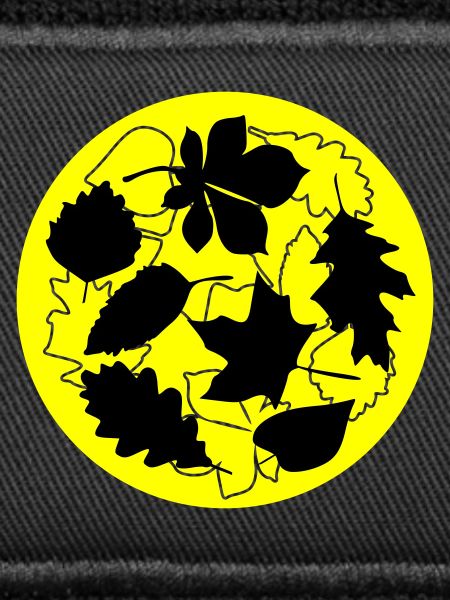 Autumn Circle Leaves