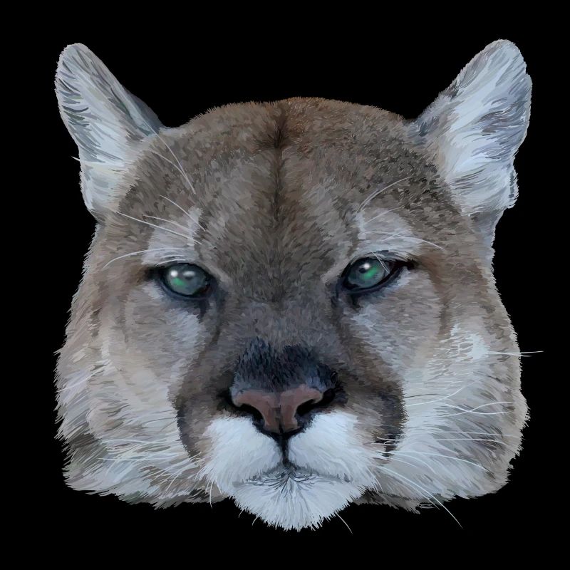 Panthère