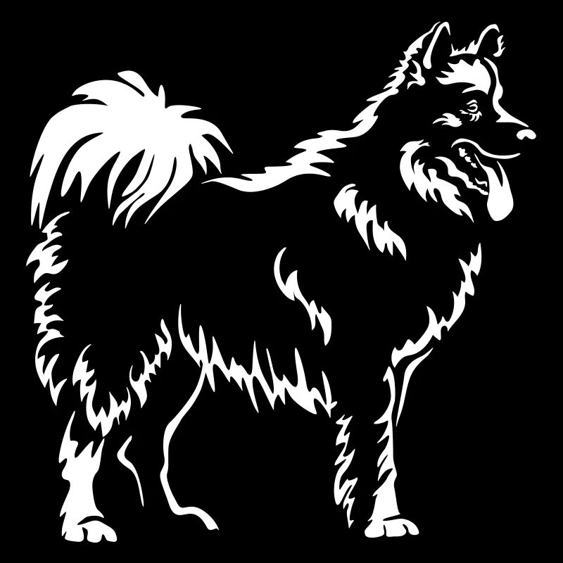 Samoyède « Black Edition »