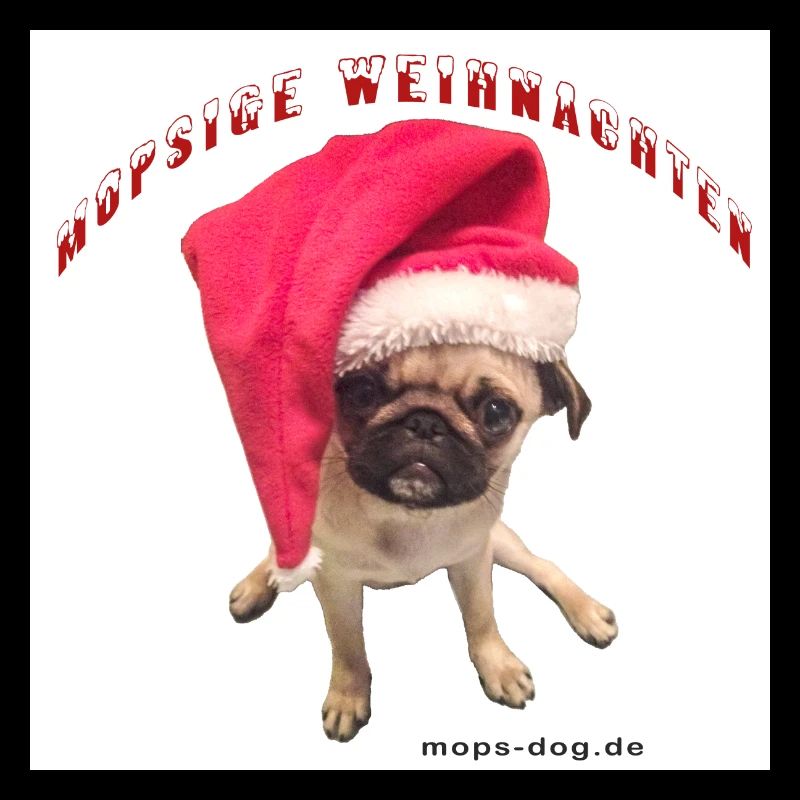 Weihnachtshund mit Hausschmuck