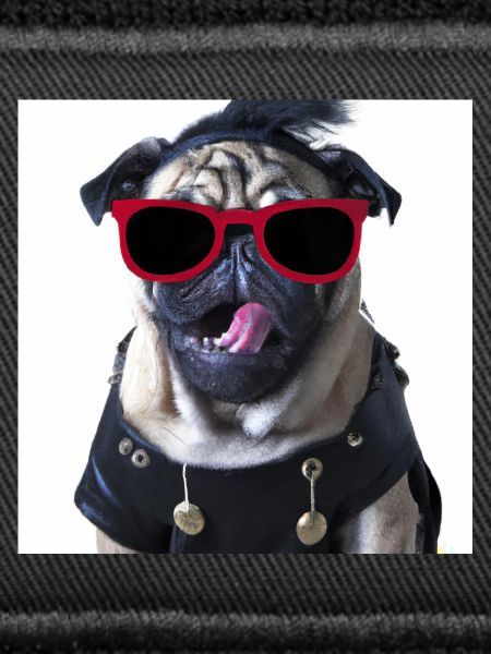 punk pug