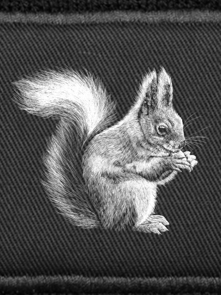 Squirrel