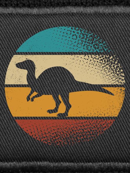 Dino Dinosaurs