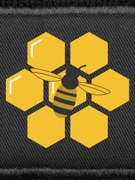 Bee and Honeycomb