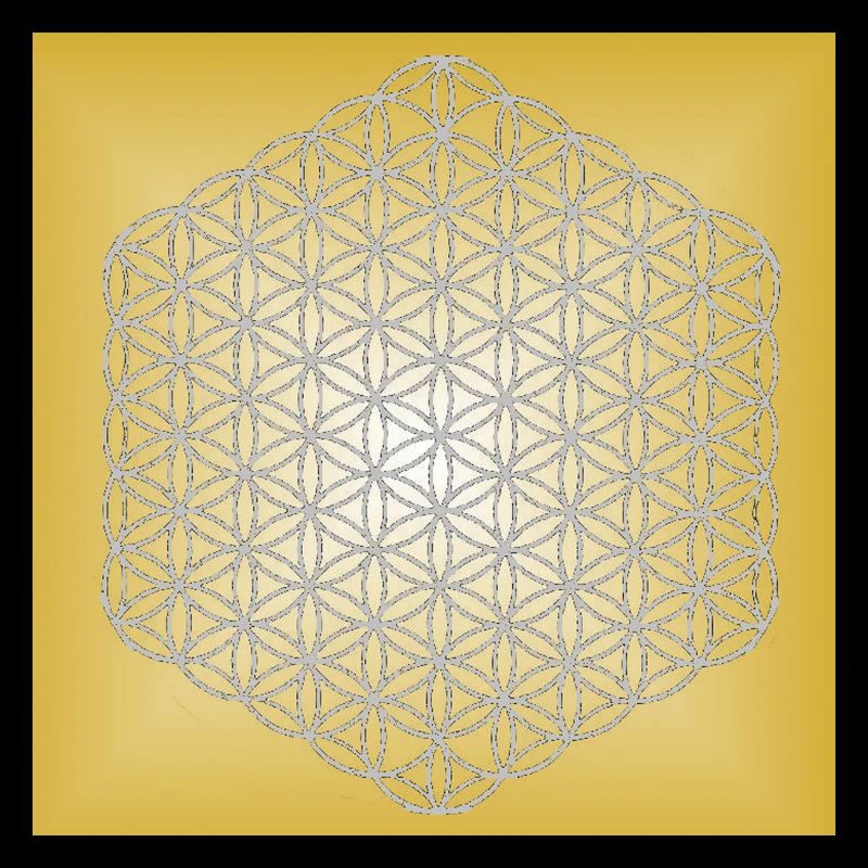 Blume des Lebens silber - 5. Dimension