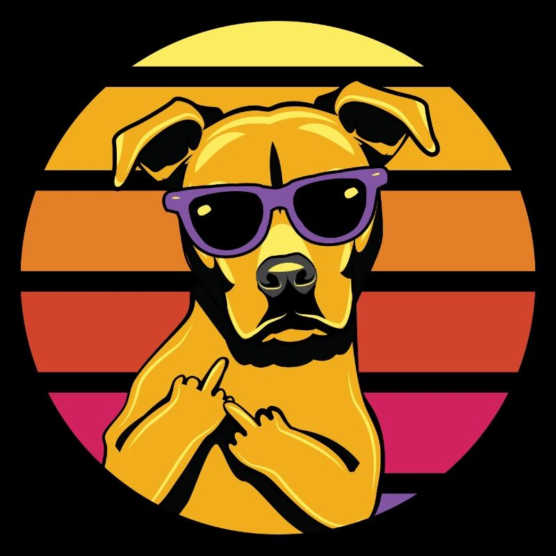 Sunhound Ombre Rétro