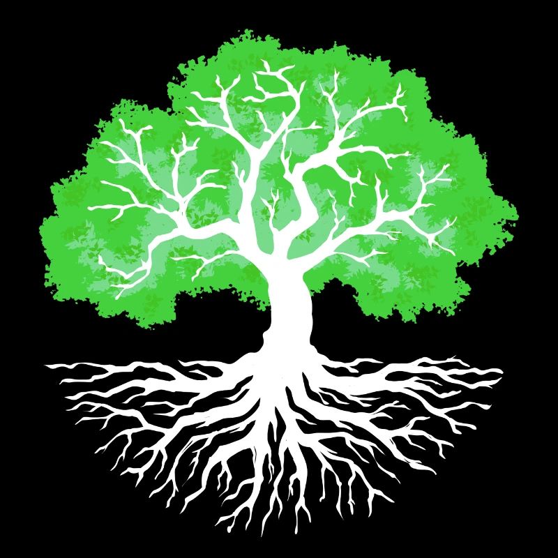 Nature Conservation Tree Nature Earth Environment Environmental Protection