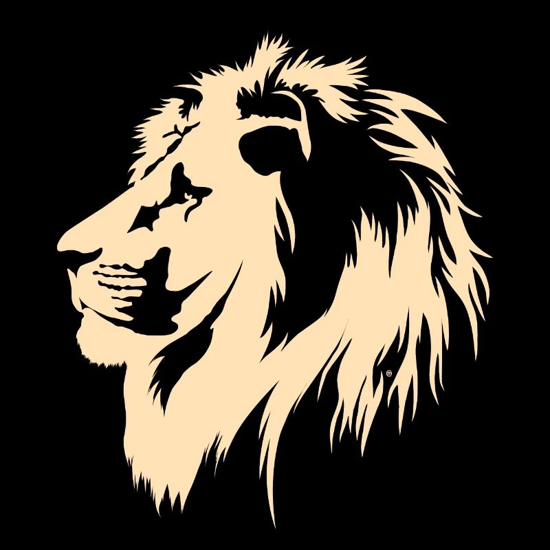 König der Katzen (sand)