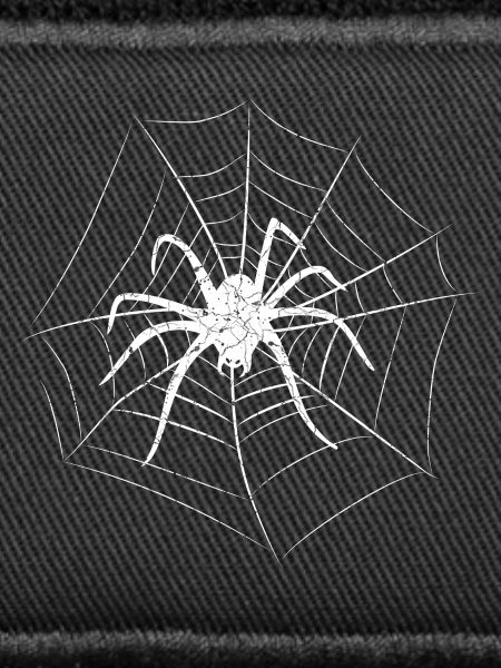 Spider Halloween