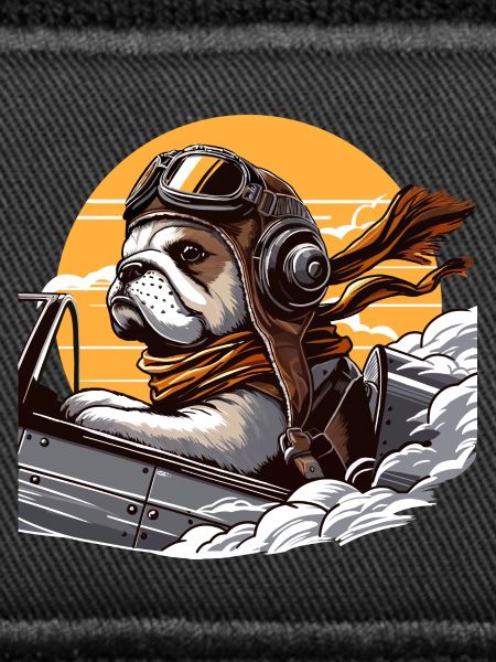 Bulldog Pilot