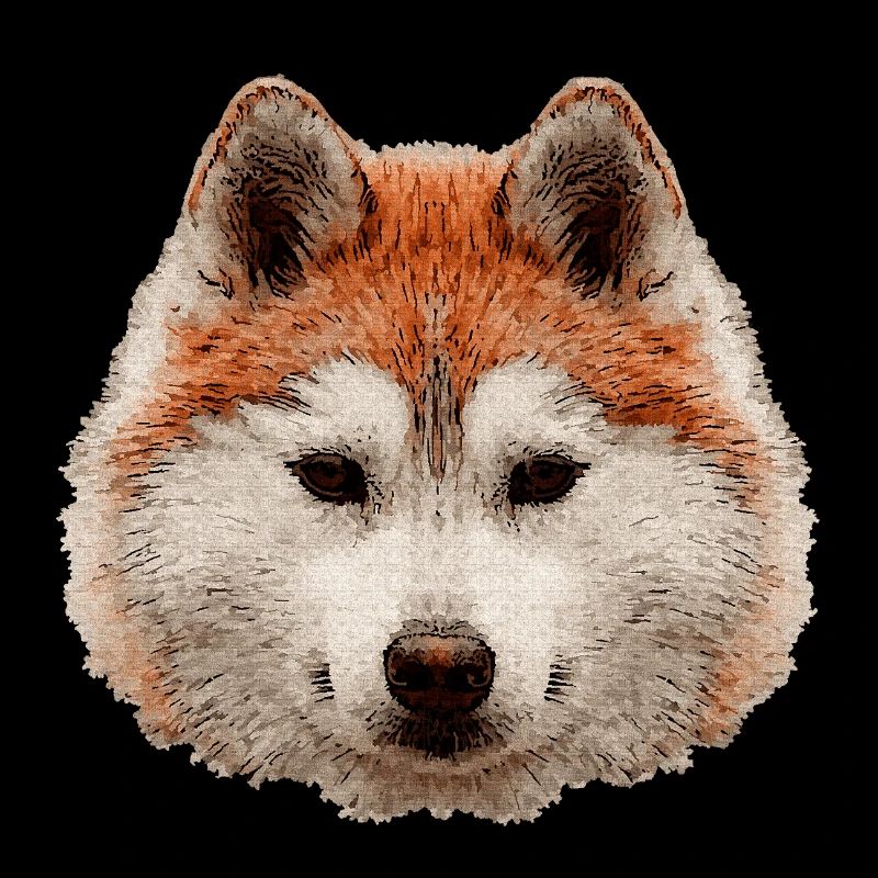 schlittenhunde, Huskykopf wasserfarboptik