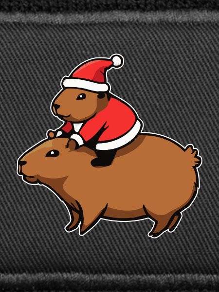 Capybara Noël