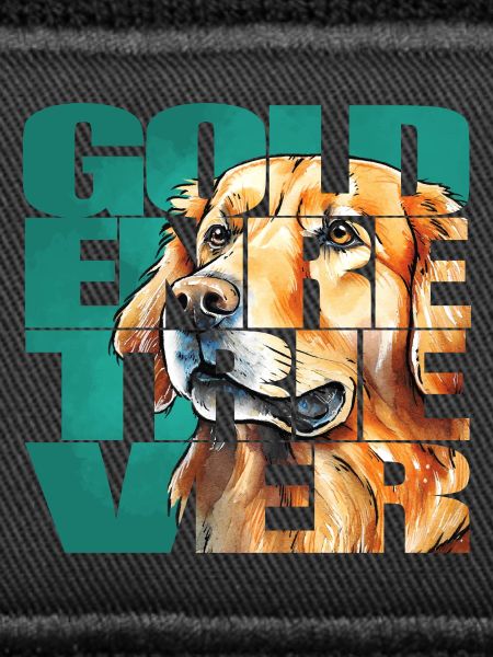 Golden Retriever Portrait