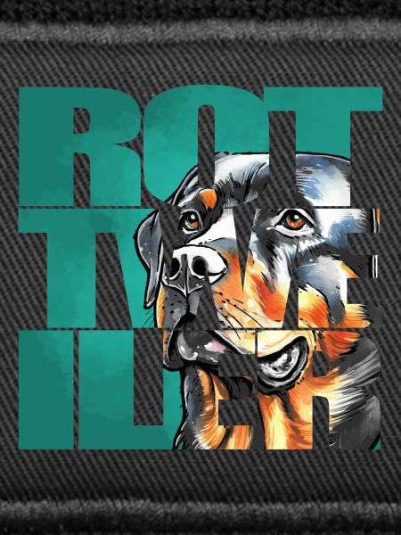 Rottweiler Portrait