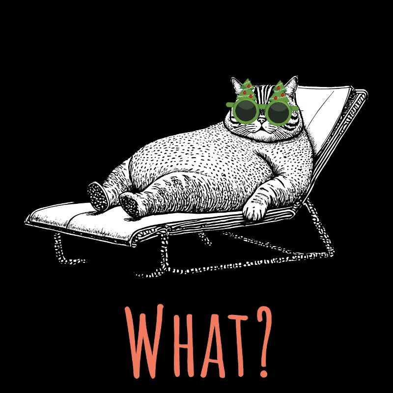 Cat Vacation - What?