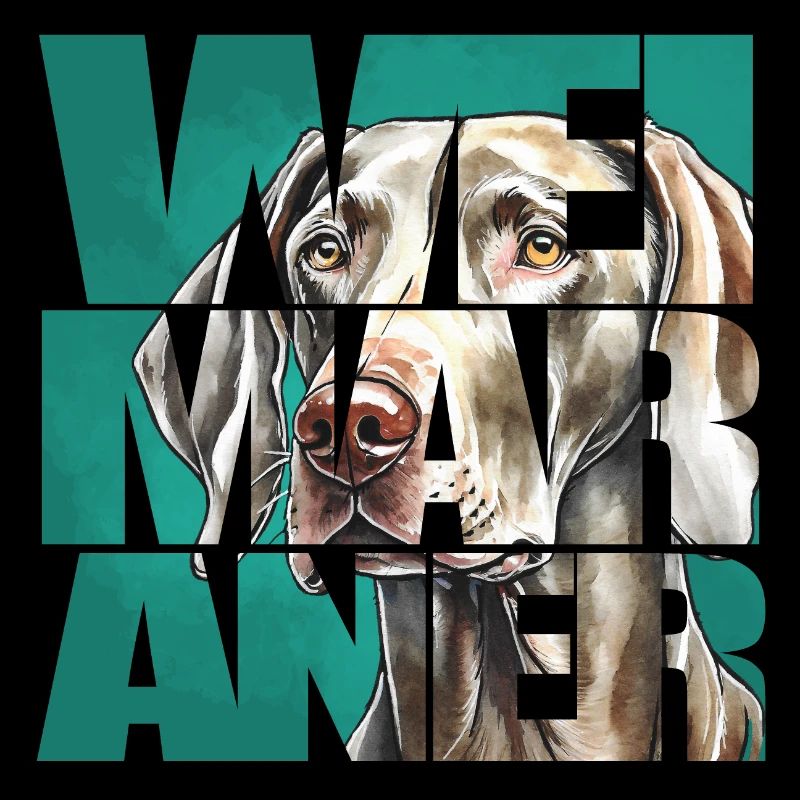 Weimaraner Portrait