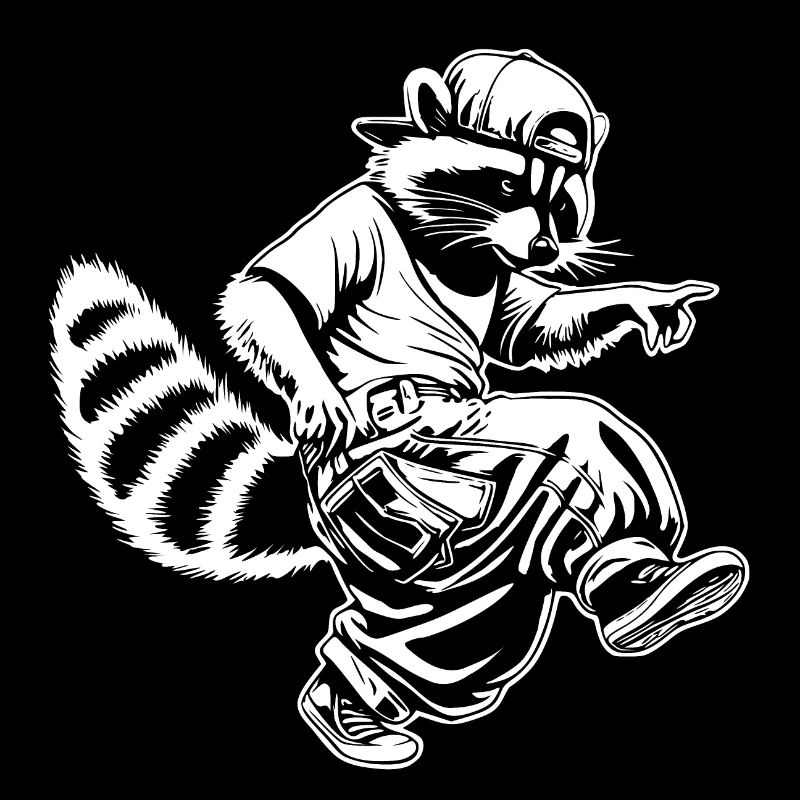 Raton laveur hiphop