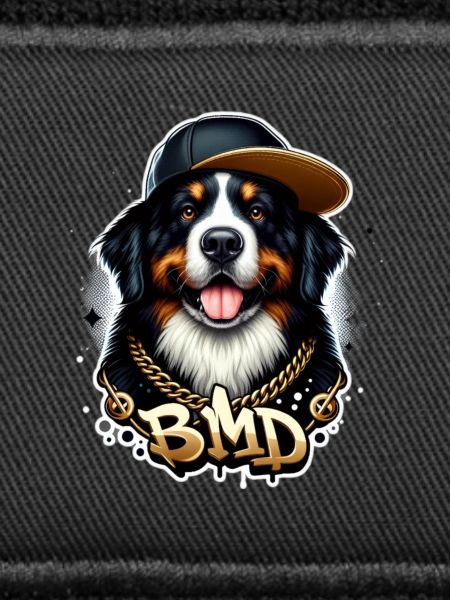 Bernese mountain dog