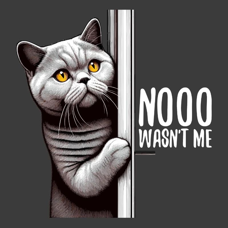 Nein war ich nicht BKH Blue Katze Geschenk