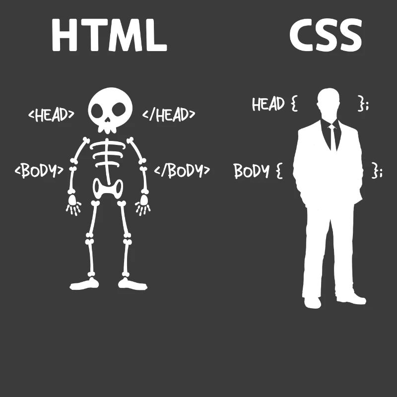 Code Css C++ Php Java Developer Code Skripting