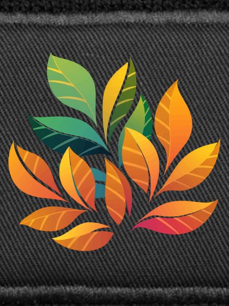 Plant Design