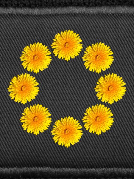 DANDELIONS III