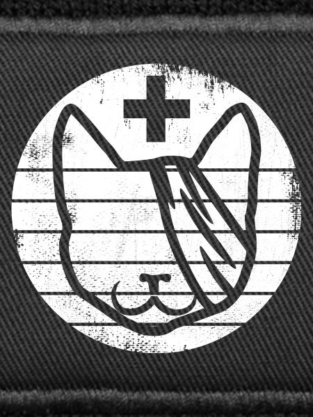Erste Hilfe für Katzen
