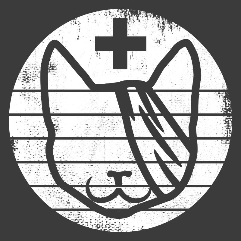 First aid for cats