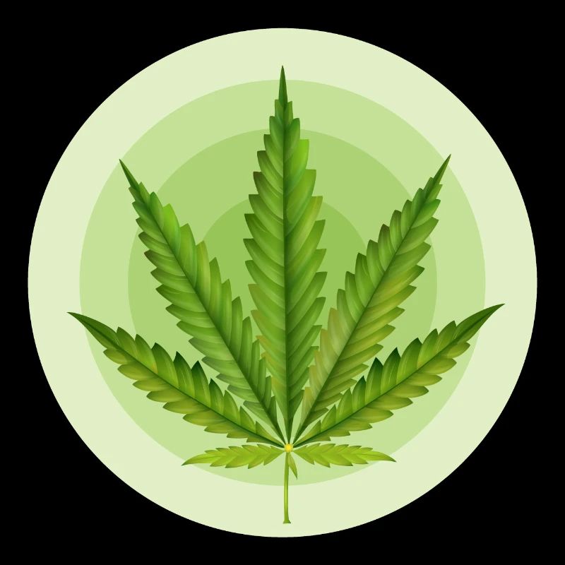 Feuille Cannabis Grafique Circulaire
