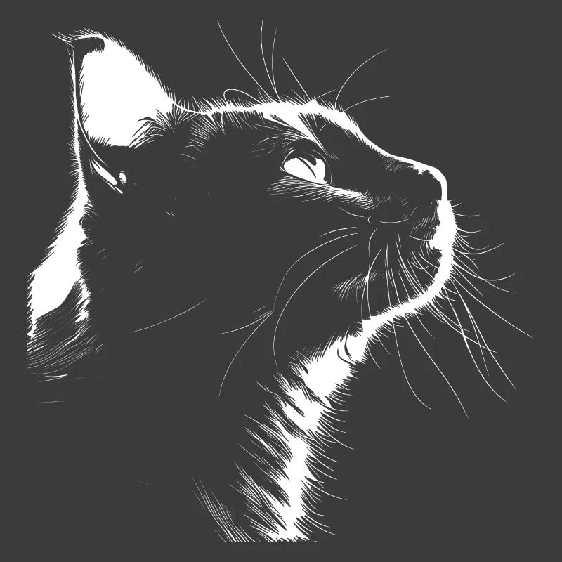 Silhouette Katze