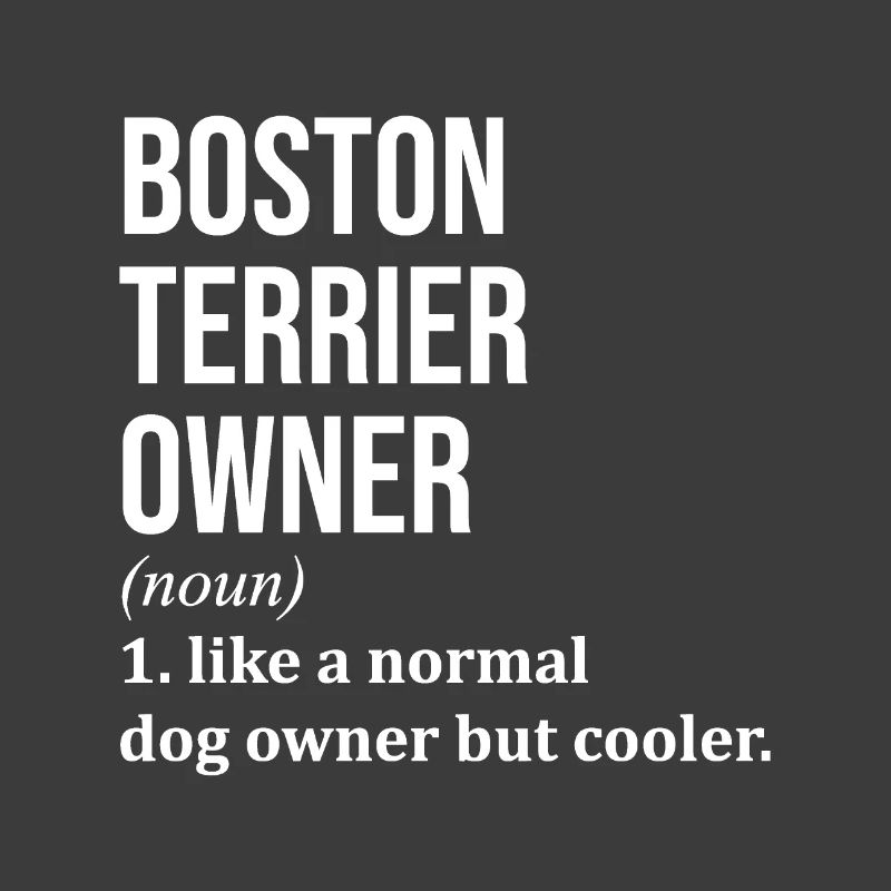 Boston Terrier