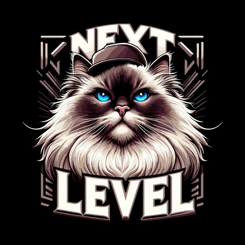Chat Birman Sacré Chat Birman Gangsta Cadeau