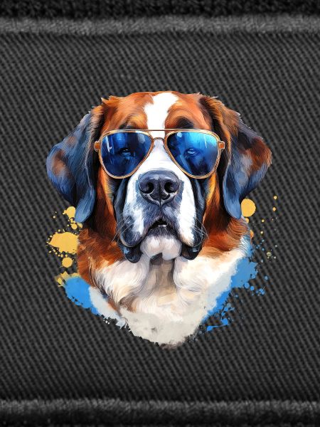 Saint Bernard with sunglasses