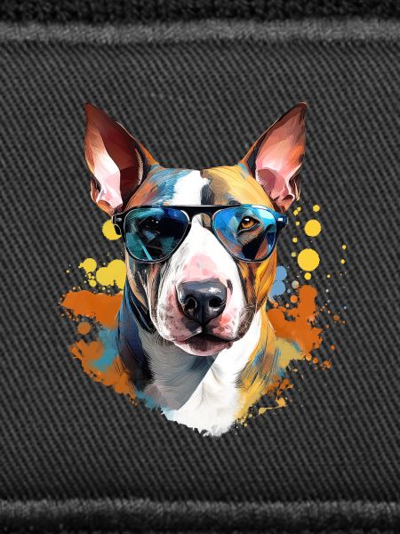 Bull terrier with sunglasses