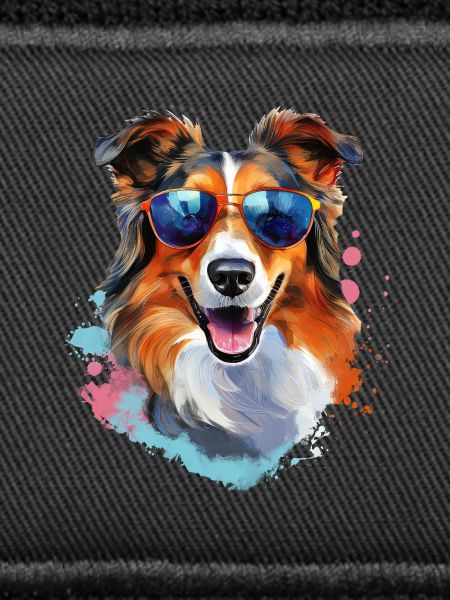 Collie mit Sonnenbrille