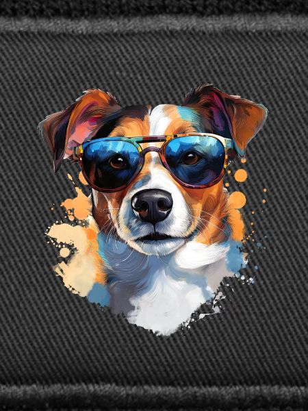 Jack Russell with sunglasses