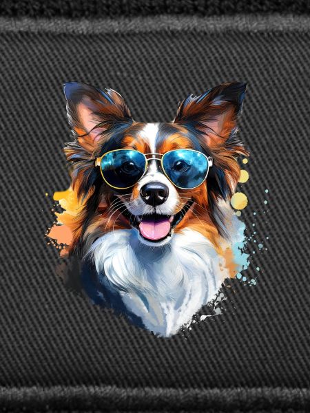 Papillon with sunglasses