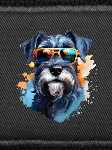 Schnauzer with sunglasses