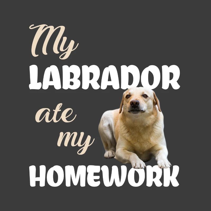 Labrador Homework
